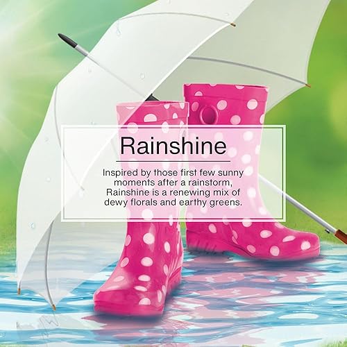 Miniatura 26 de Little Trees - Ambientador de árbol colgante que proporciona un aroma de larga duración para auto u hogar. Aroma Leather, 4 paquetes de 6