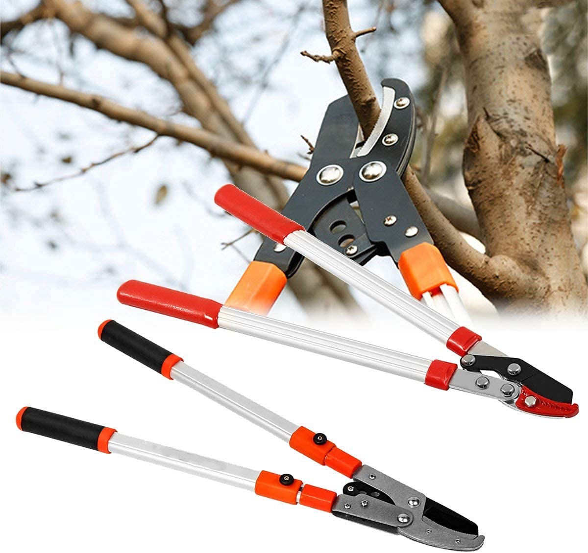 Cortador de ramas Tijeras de cobertura, cortador, poda, tijeras de mano, cortador de plantas, herramientas de poda Trinquete de árbol telescópico Lopper Pruner Herramienta de jardín extensible Herram