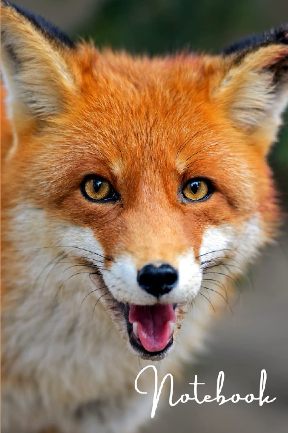 fox notebook: For everyone who loves foxes. Lined Journal 6x9in, 100 pages