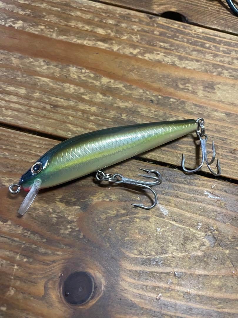 寒樹金四手（カナシデ）盆栽 SS002 コレクション