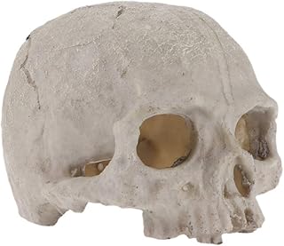 POPETPOP Aquarium Decorations Skull-Fish Tank Decor Skull Reptile House Resin Skull,Halloween Fish Tank Decorations Reptile Hideout Caves