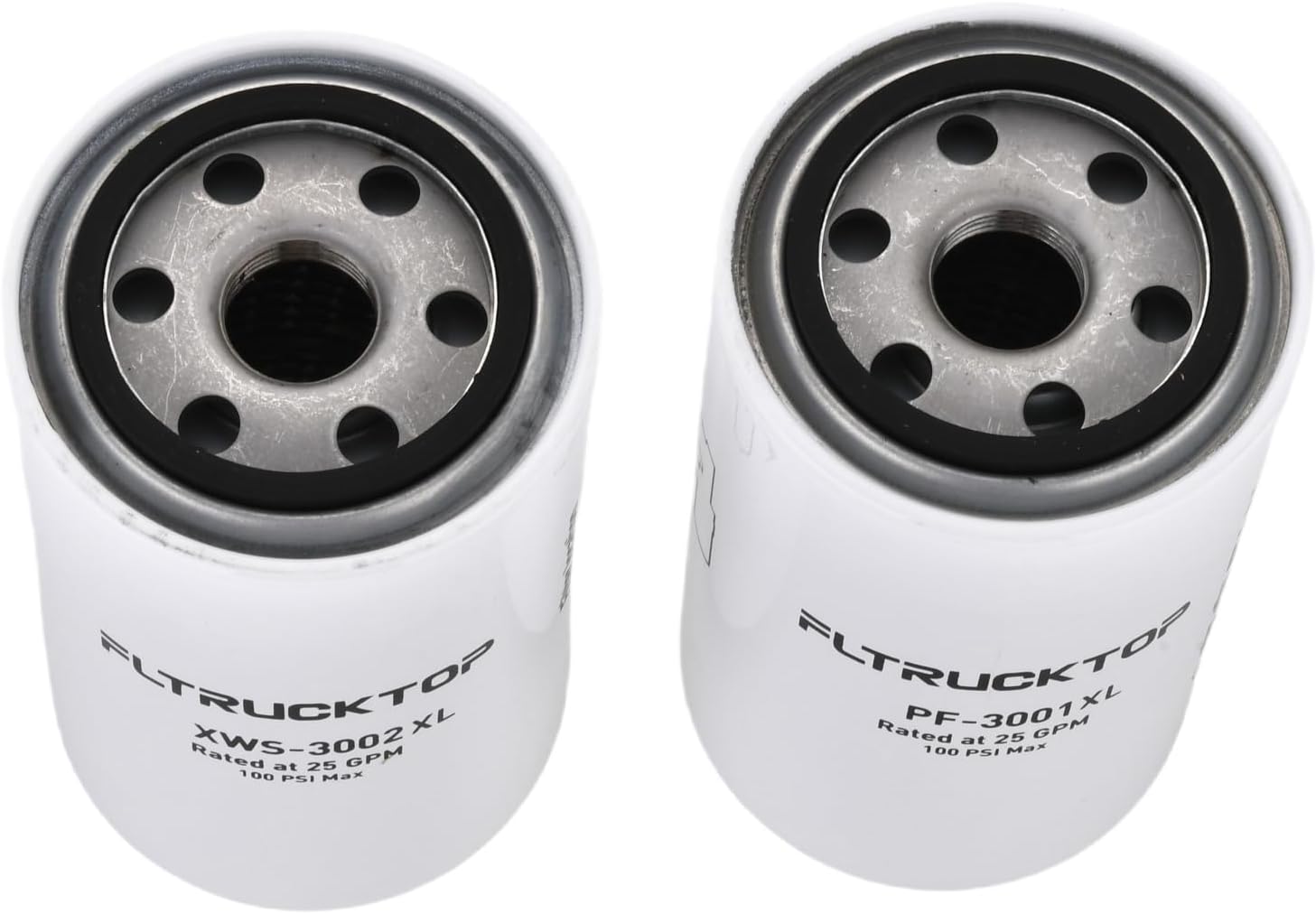 XWS-3002XL PF-3001XL Fuel Filter Compatible with FASS Titanium Series Replace XWS-3002XL PF-3001XL