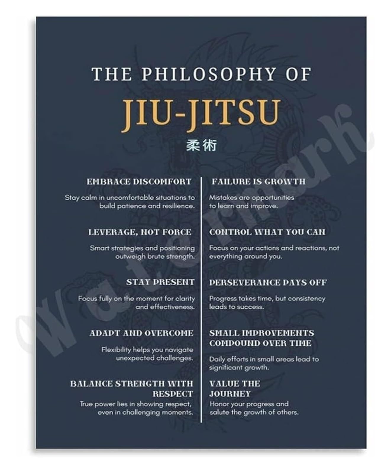QMKADFQXF Martial Arts Mindset Poster Jiu Jitsu Principles Wall-Art for Discipline and Resilience Home Office Gym Wall Inspiration(Unframed,16x24inch(40x60cm))