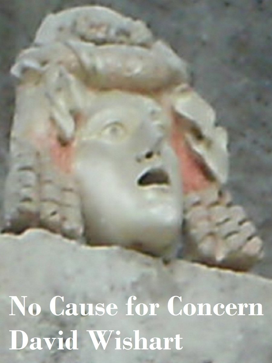 No Cause for Concern (Marcus Corvinus Book 13)