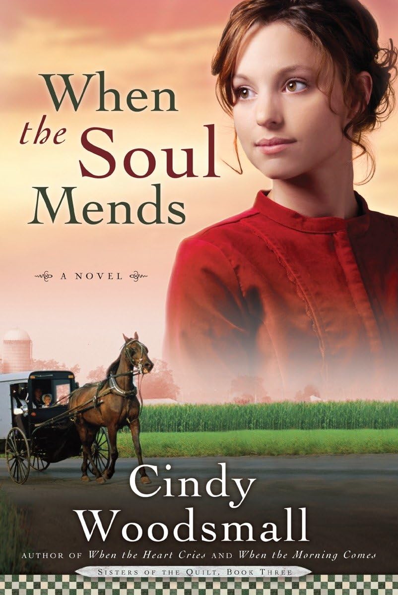 When the Soul Mends: Book 3 in the Sisters of the Quilt Amish Series: 03