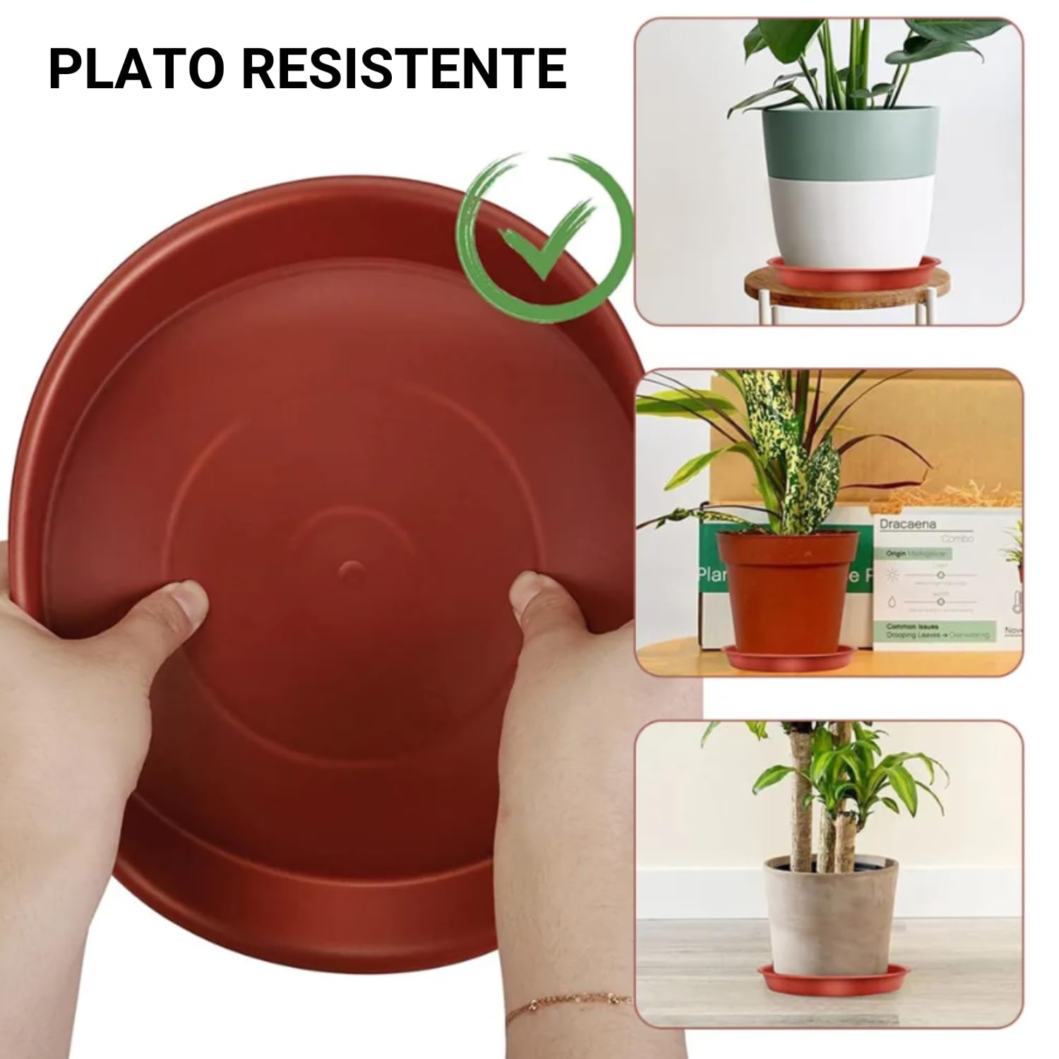 GROWMANIA Pack 10 Platos Redondos Terracota para Macetas Diámetro 16 cm - Plato Plástico para Maceteros Marrón