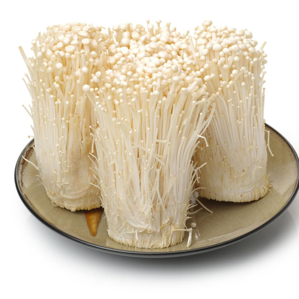 Enoki Pilze Samen - Bio Saatgut Für Balkon & Garten