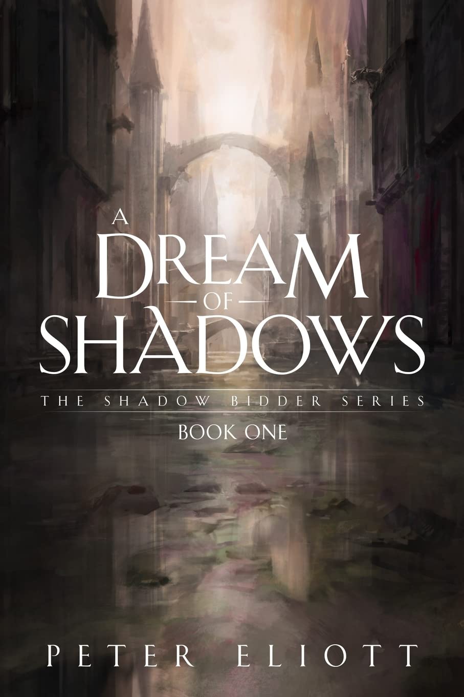Book cover for Shadow Bidders series