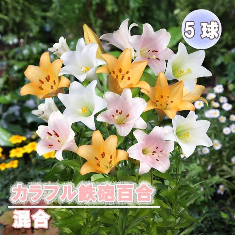 61vQEqybn0L._AC_UF1000,