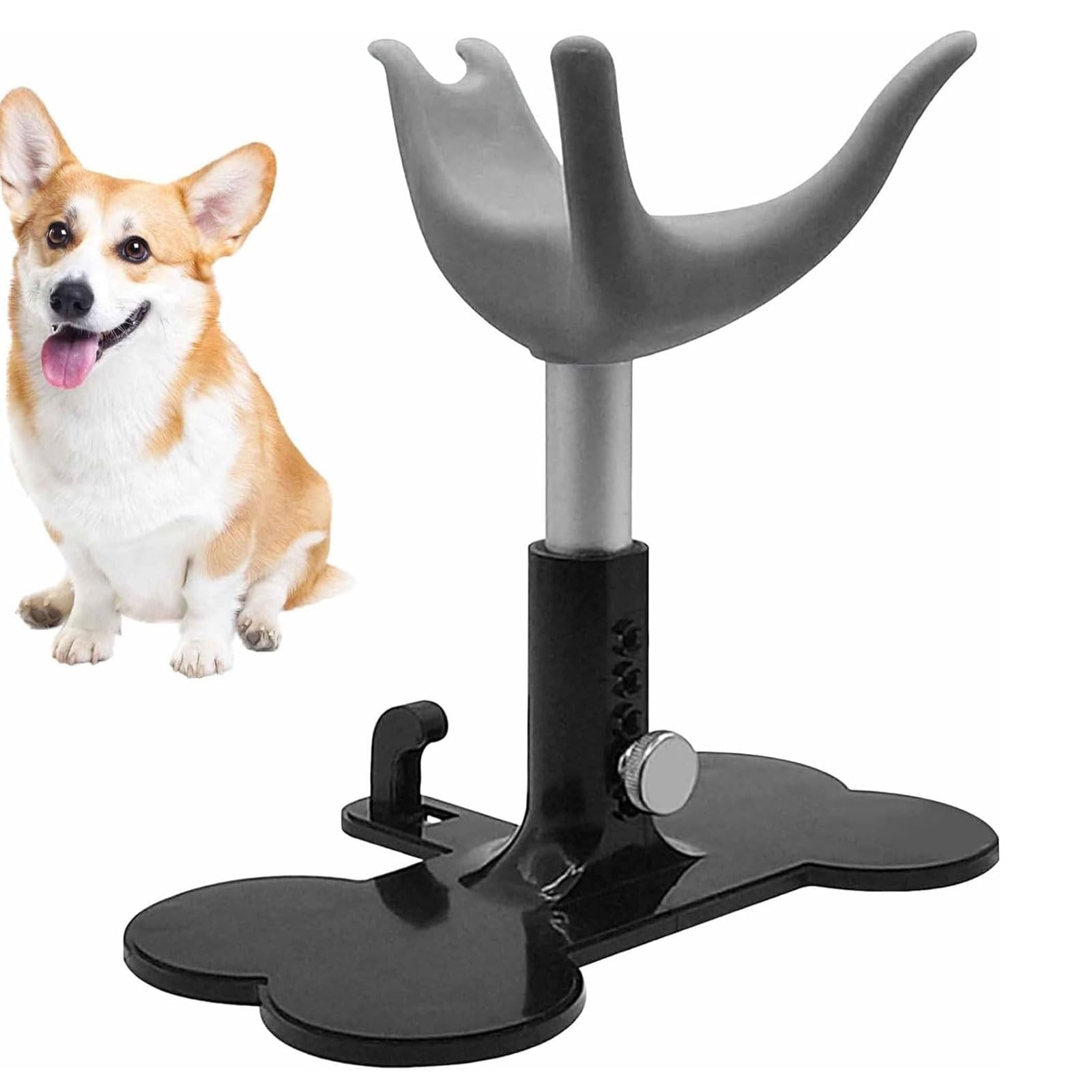 Support de toilettage en silicone premium et potence de table robuste