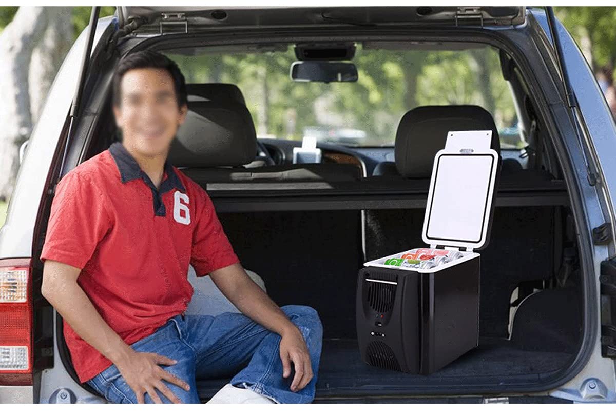 Mini refrigerador para coche, 12 V, 6 litros, portátil, ideal para camping y viajes (color: azul, tamaño: 12 V/220 V)