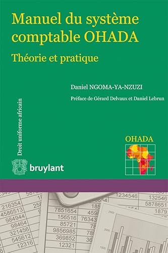 Manuel du système comptable OHADA : Théorie et pratique