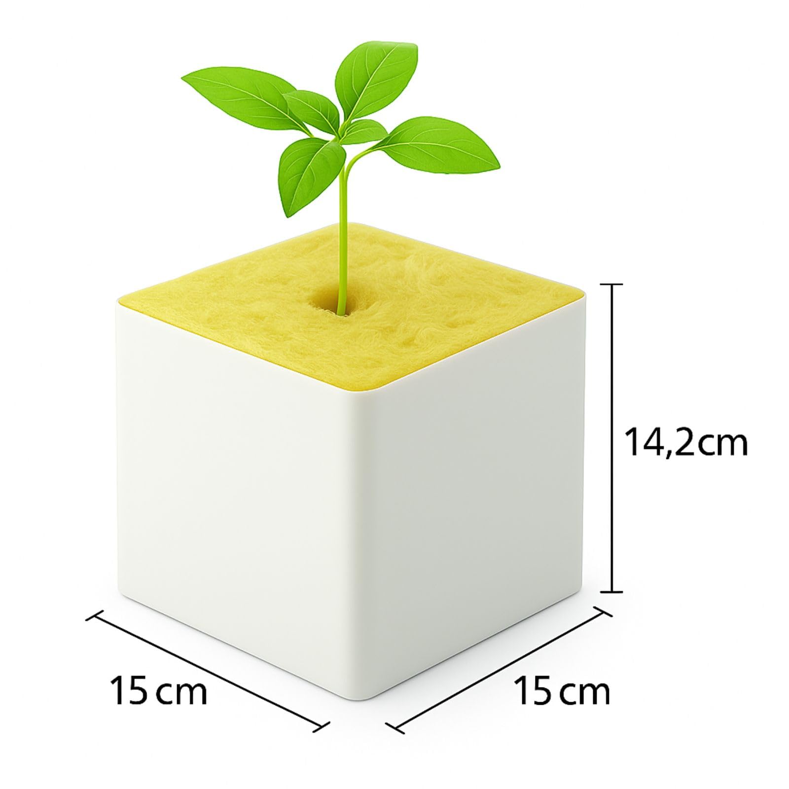 Weedness Wełna kamienna kostka 15 x 15 x 14,2 cm 48 sztuk – uprawa sadzonek, sadzonek, sadzonek, ziemia do uprawy roślin.
