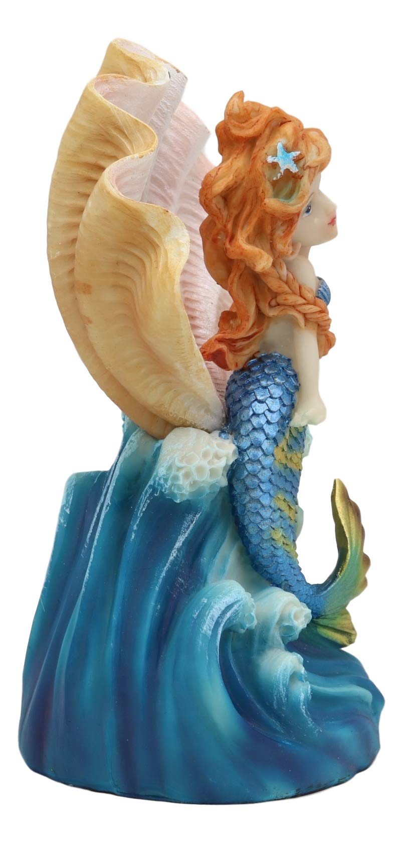 Amazon.com: Ebros 7.25