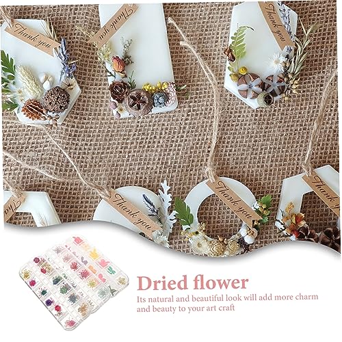Flores secas naturales para manualidades DIY miniatura 4