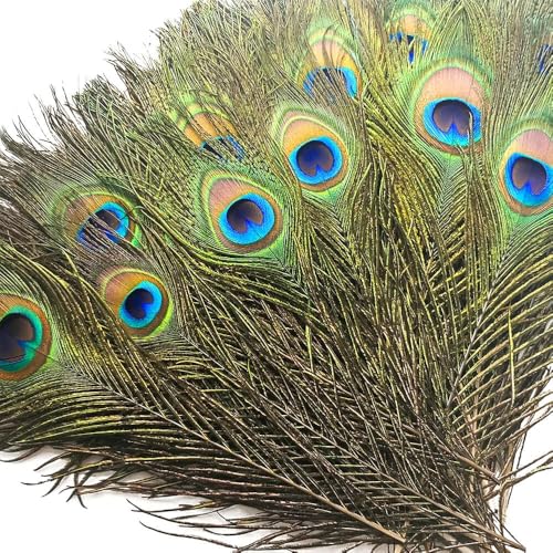 Piokio 50 pcs Peacock Feather in Bulk 10-12 inch(25-30 cm) Bulk for DIY, Craft Vase Wedding Home Party Christmas Day Peacock Feathers Decoration