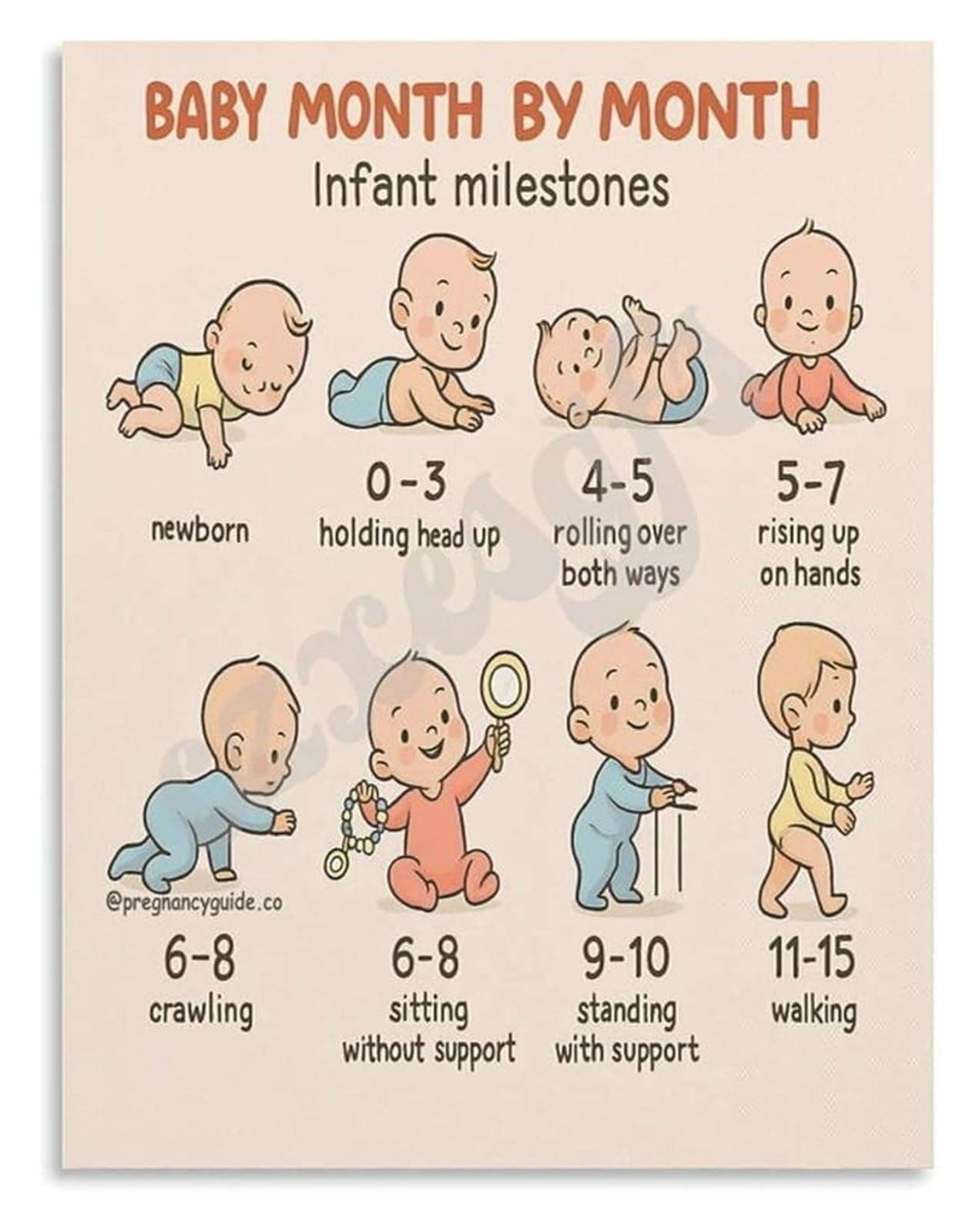 XGINERFEX Newborn to One Year Poster Milestones Overview Canvas Wall-Art for Nursery Decor What to Expect Monthly Information Print(Unframed,16x24inch(40x60cm))