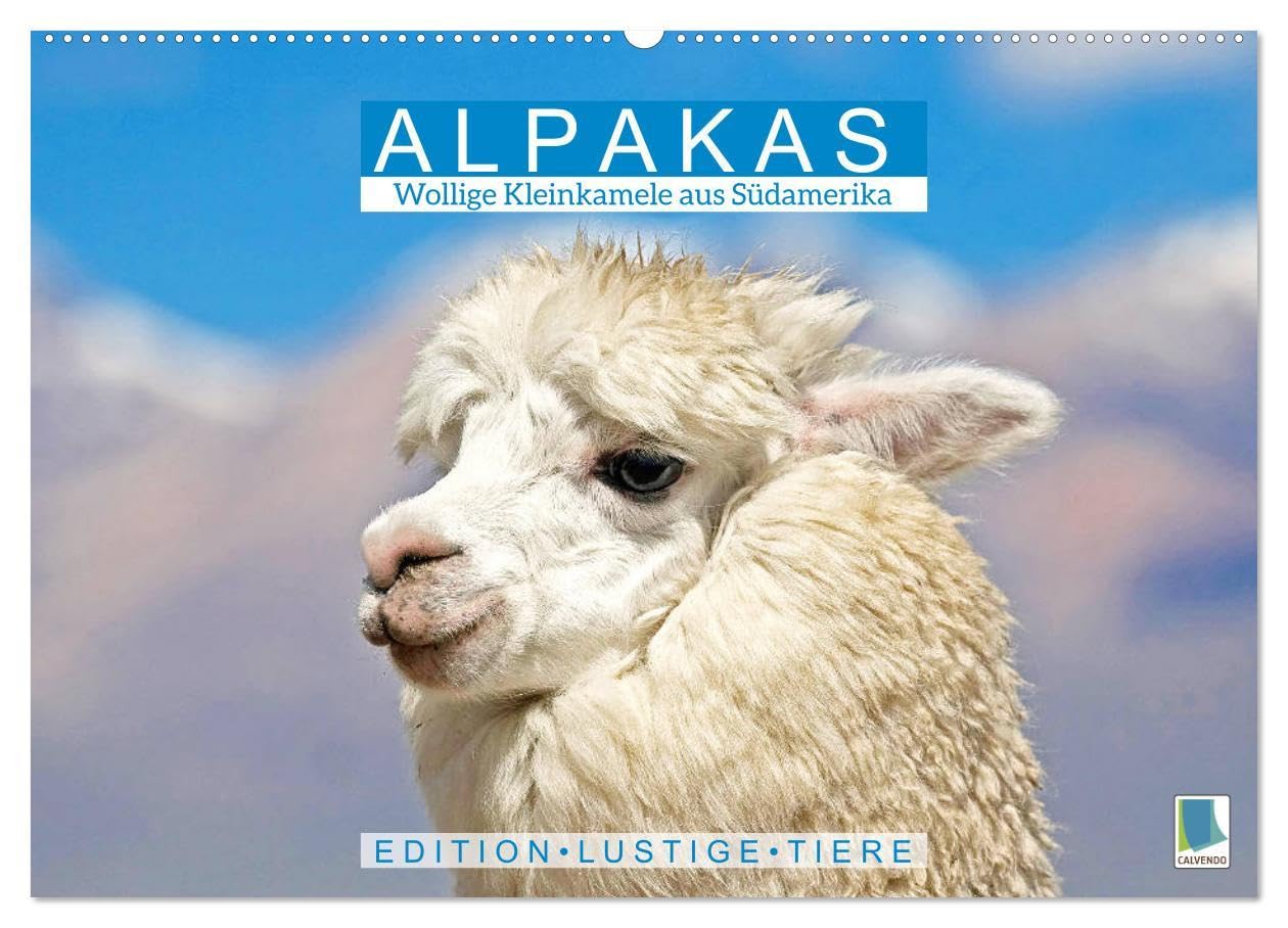 Alpakas: Wollige Kleinkamele aus Südamerika - Edition lustige Tiere (Wandkalender 2026 DIN A2 quer), CALVENDO Monatskalender: Alpakas: Noch mehr Wuschelköpfe aus den Anden (CALVENDO Tiere)