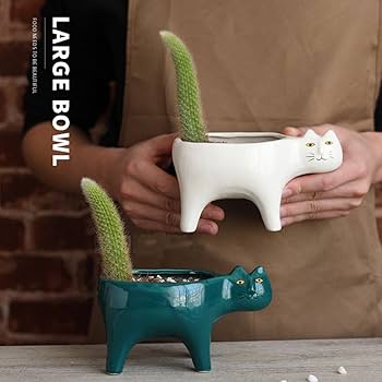 61vQnyQTApL._AC_UF350,