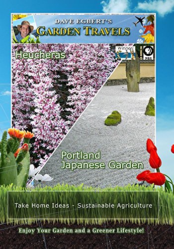 Heucheras / Portland Japanese Garden Heucheras /