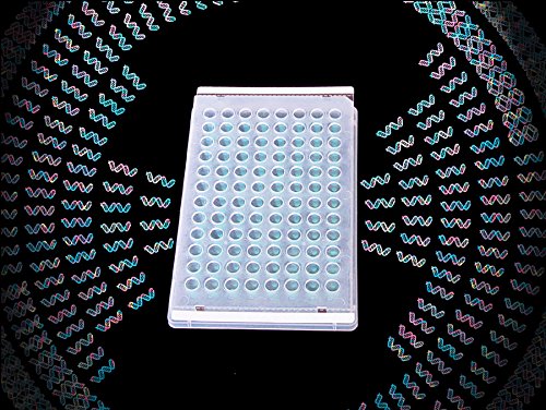 Excel - BioExcell Film for Conventional PCR- Str, PK100