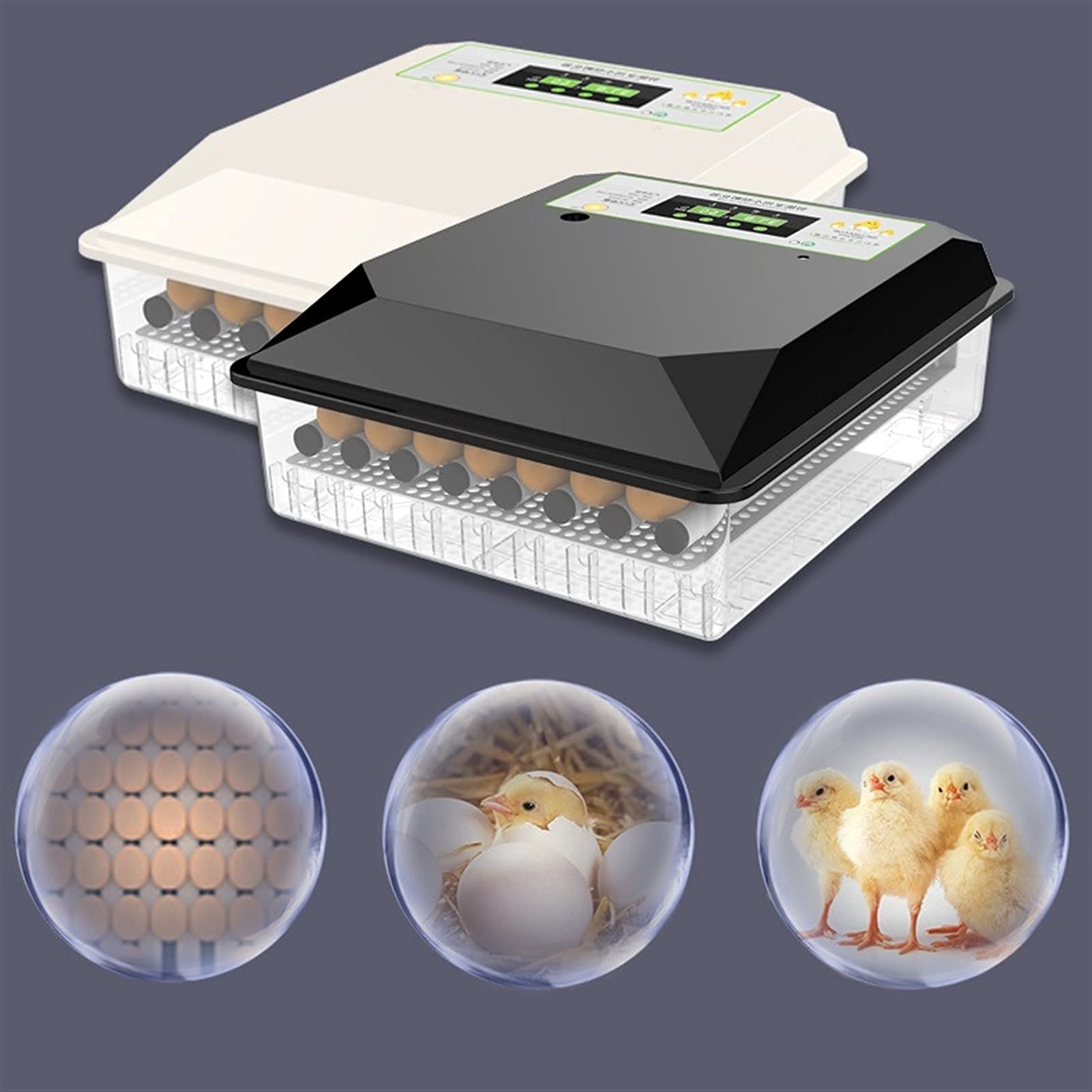 Incubatrice Automatica per Uova di Pollo 48 Incubatrice Digitale Completamente Automatica con girauova Integrato e regolatore di Temperatura Intelligente per Uso Domestico, Laboratorio