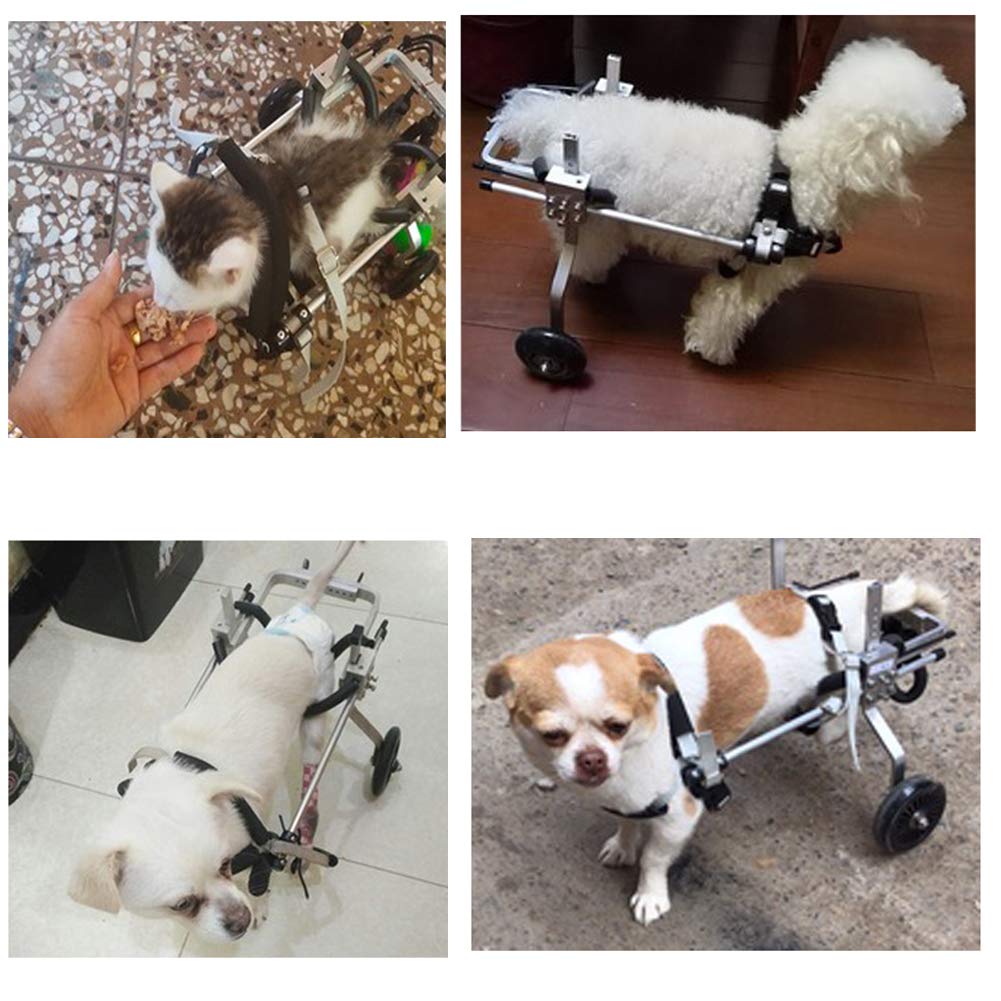 Sedia a Rotelle per Cani Disabile Regolabile Carrellino per Cani, Peso 1~60 kg, Riabilitazione per Gambe Posteriori/Zampa Posteriore, per Cane e Gatto, 2 Ruote, Dog Cat Wheelchair