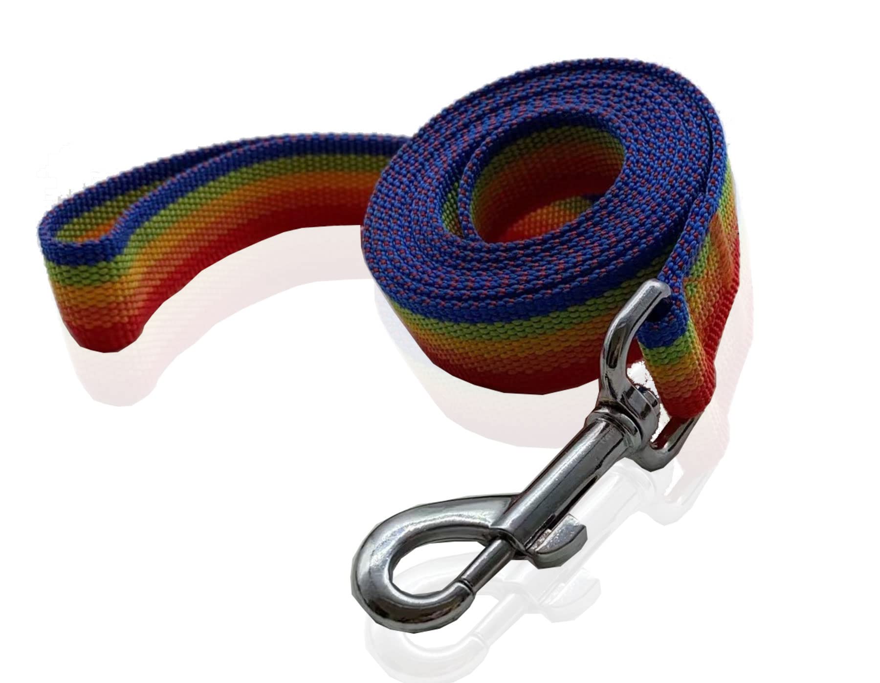 Nylon Dog Leash 12 Feet Long, Walking Training Dog Leashes for Medium Large Dogs(1" X 12 ft, Rainbow)