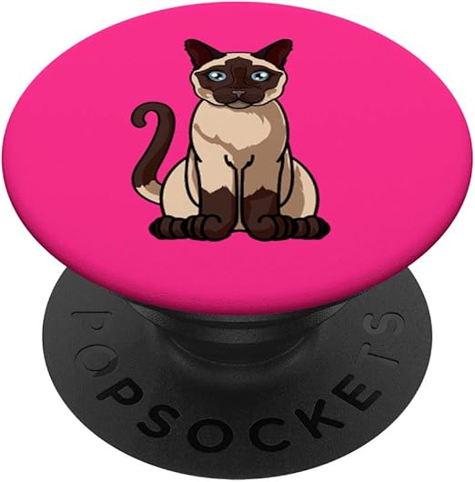 siamese cat accessories
