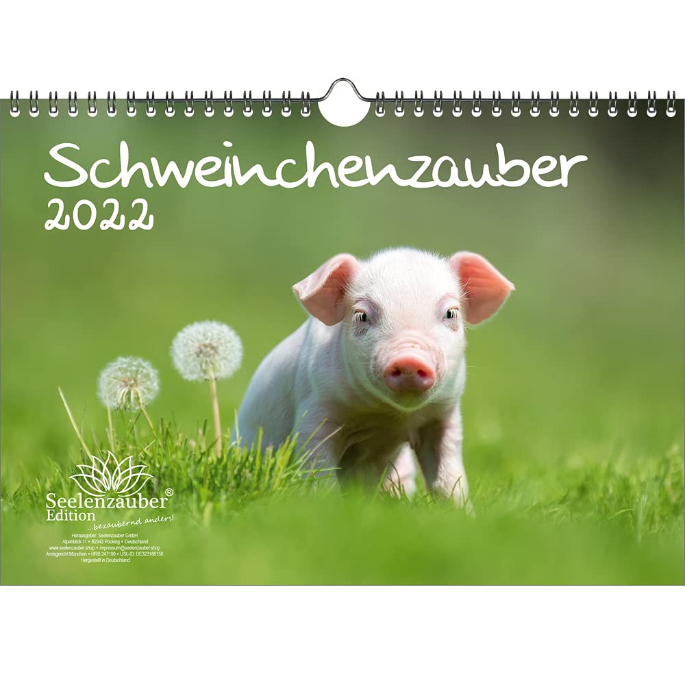 Pig Magic DIN A4 Calendar for 2022 Pigs Seelenzauber