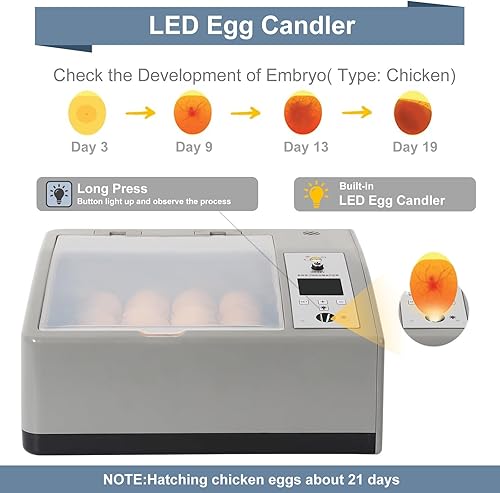 Miniatura 3 de Incubadora de huevos para incubar huevos con giro automático y control de temperatura, incubadora de huevos 6-24 con vela LED de huevos, incubadora