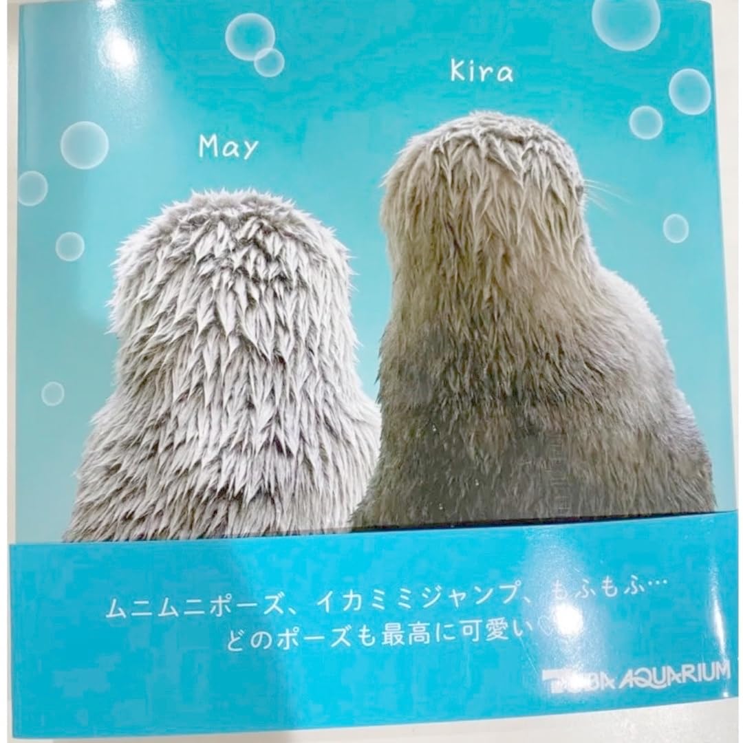 Amazon.co.jp: ラッコ キラとメイ 写真集 鳥羽水族館 : おもちゃ