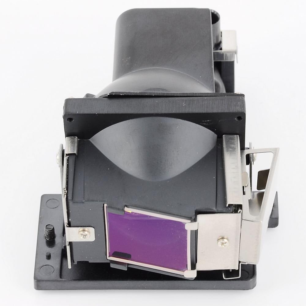 FI Lamps Compatible BLFS220B Bulb/Lamp with Housing for