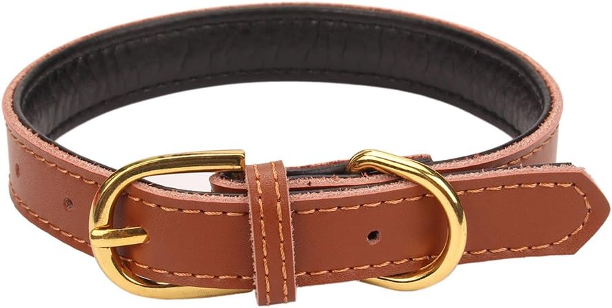 Aolove Basic Classic Padded Leather Pet Collars for Cats Puppy Small Medium Dogs (Brown, X-Small) : Pet Supplies