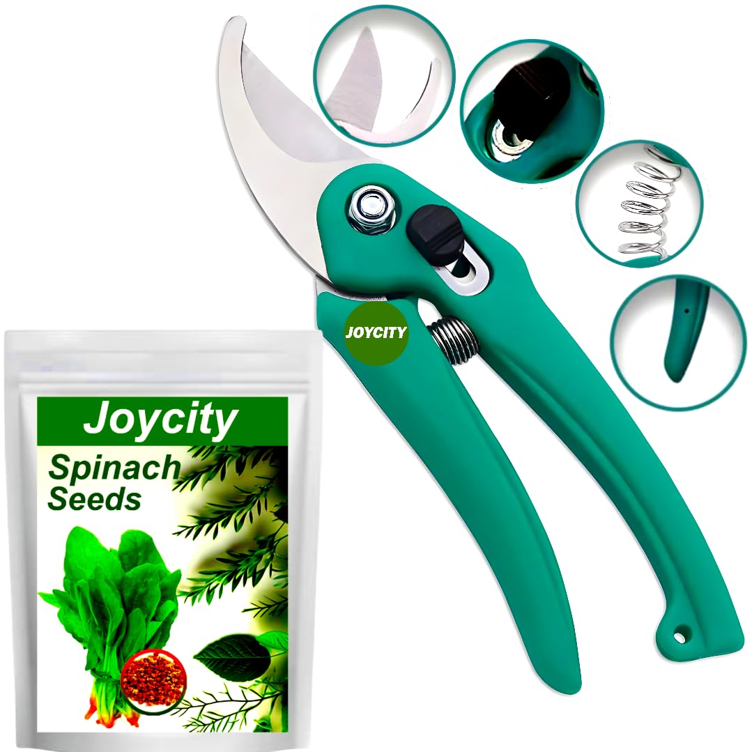 Joycity Heavy Duty Garden Pruner (Steel Blades) with Extra Spring & Spinach/Palak Seeds – 2000+ Seeds (20gm Pack) | Plant Cutter | Tree Cutting Home Garden Tools with Smart Lock | Branch Trimmer (B0CNCS1X2D) Amazon Price History, Amazon Price Tracker