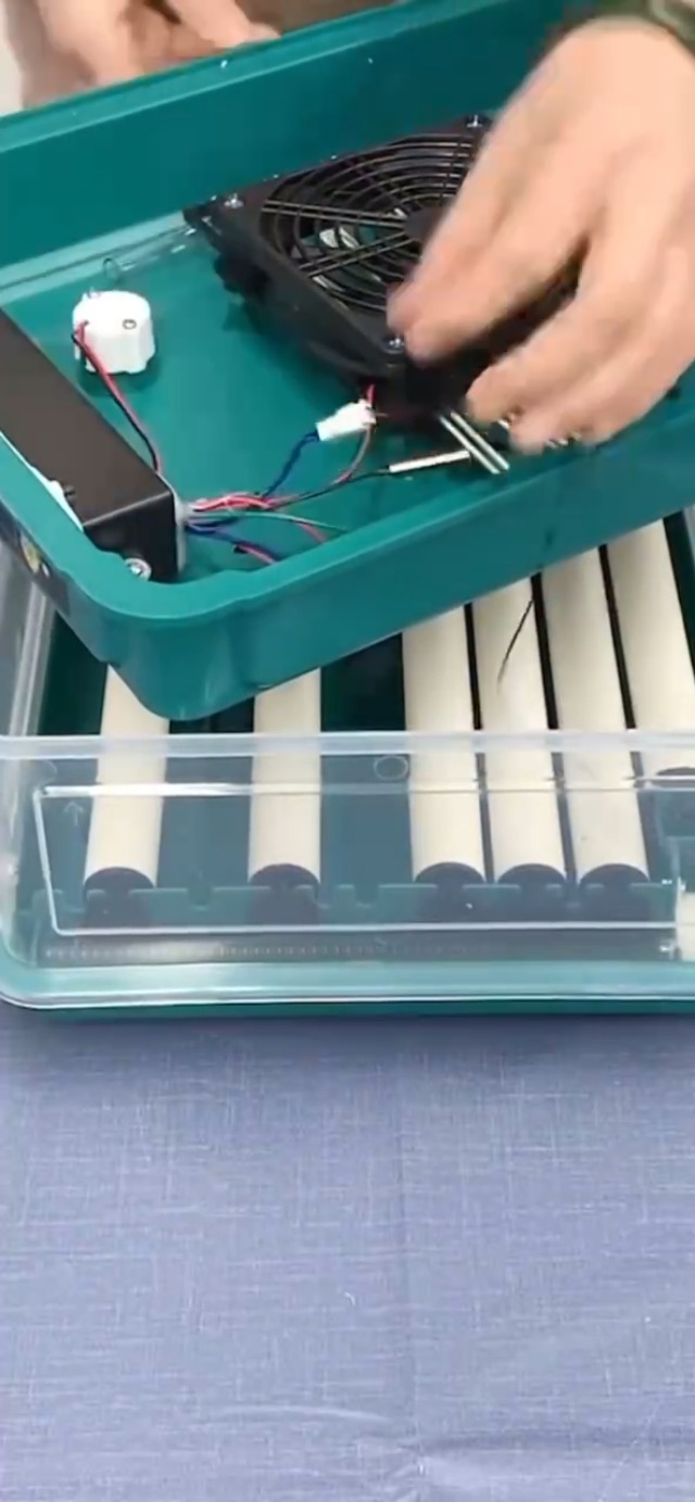 Amazon.com : Automatic Egg Incubator 12-38 Egg Digital Poultry