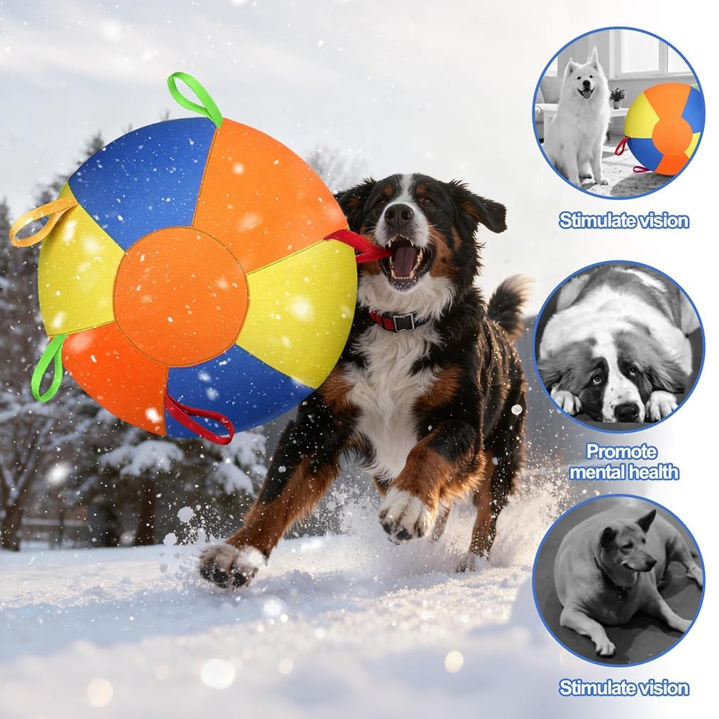 Pelota de pastoreo con pestañas para perros, caballo, pastor australiano, resistente, inflable, Big Collie, fútbol para mascotas con correas para razas pequeñas, medianas y grandes, juguetes de