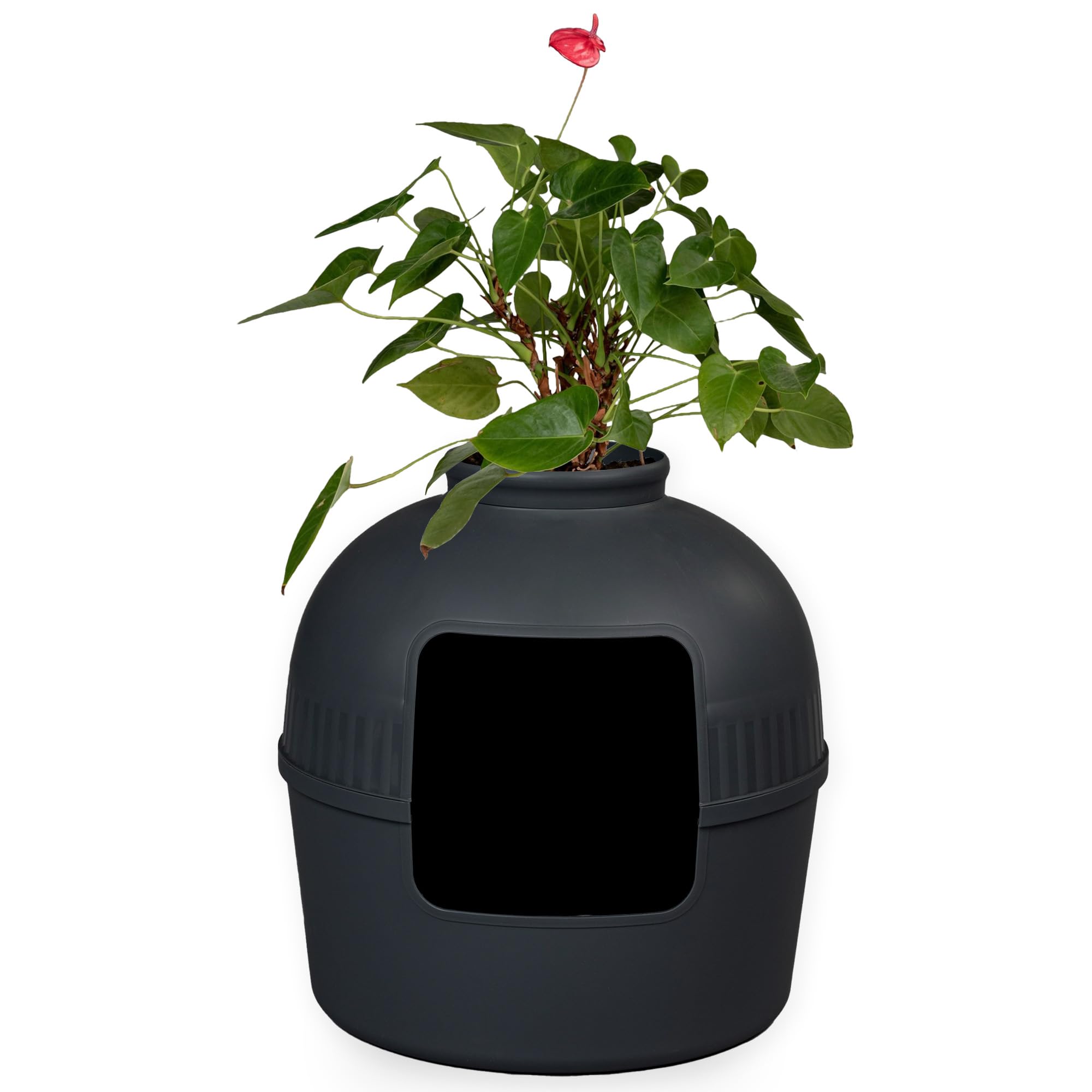 RHRQuality Cat Litter Box - Flower XXL – Hidden Cat Toilet – For Large Cats – With Large Entrance (51 cm) & Removable Top – Black