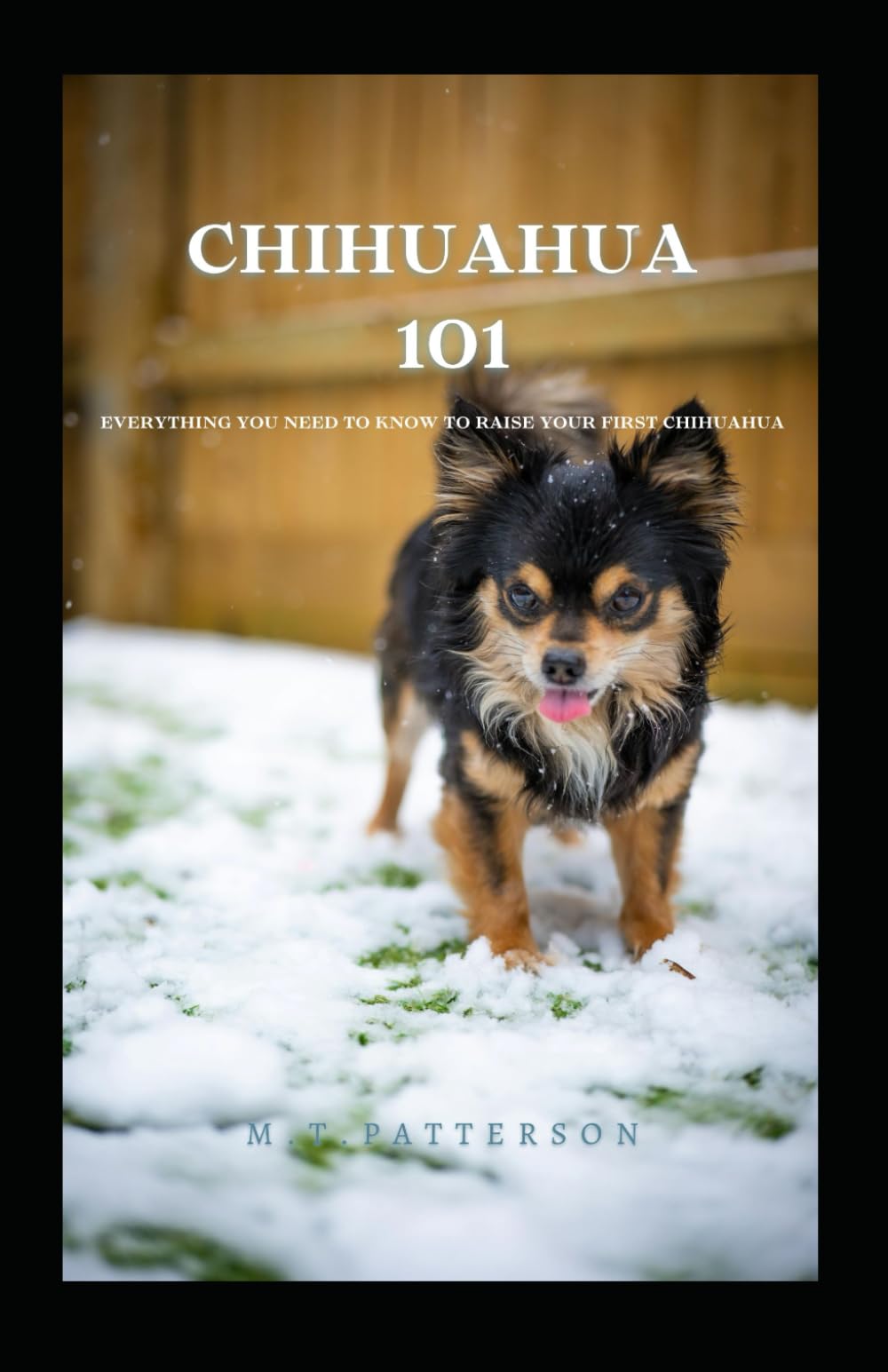 Chihuahua 101: Everything You Need to Know to Raise Your First Chihuahua