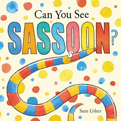 Can You See Sassoon? Paperback – 4 Jun. 2012