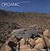 Organic Architecture: The Other Modernism