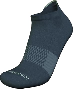 Icebreaker Multisport Light Micro