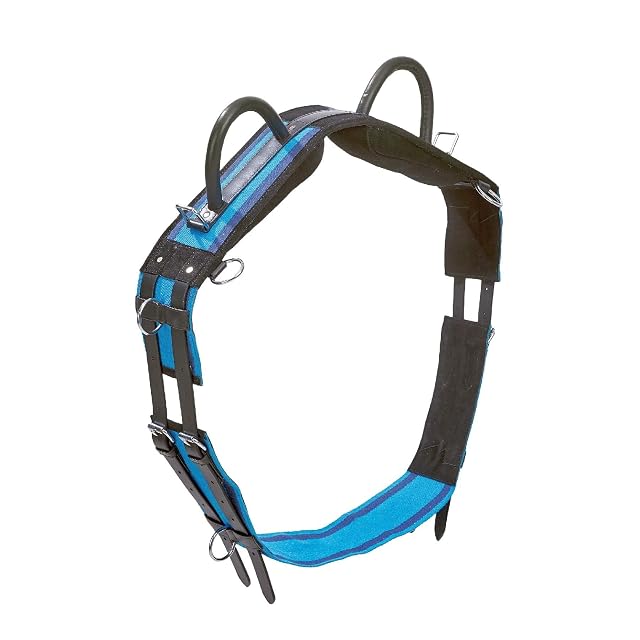 Sobrecincha doble de Busse, navy/sky blue, Shetty