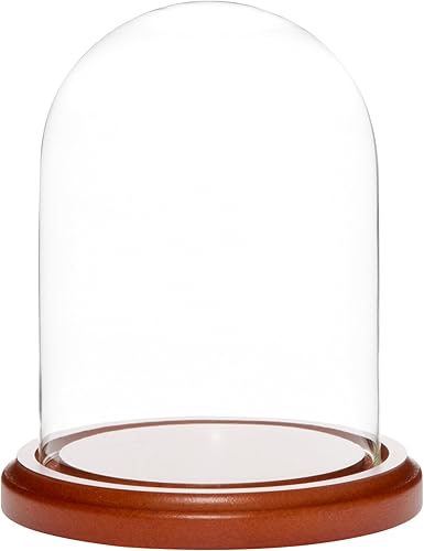 Plymor Cúpula de cristal de 4 x 5.25 pulgadas (base MDF de nogal)