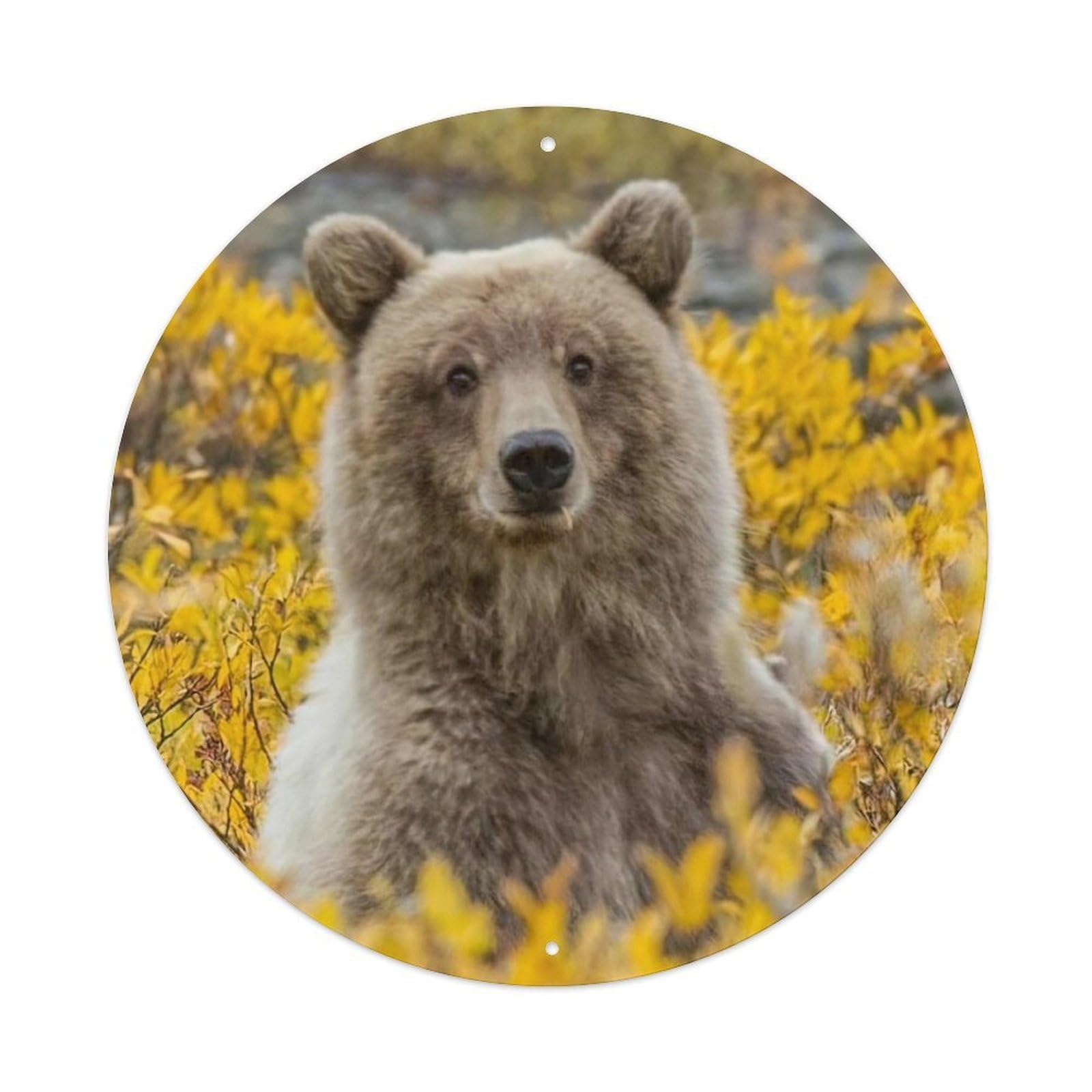 Animal Brown Bear in Autumn Taiga Forest Wildlife Habitat Photography Vintage Metal Tin Sign Plaque Wall Decor for Cafe, Club Bar, Office, Garden Metal Poster 8x8Inch