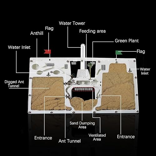 Miniatura 4 de ELNMLHT Ant Farm Castle, Granjas de hormigas con arena amarilla y kit de herramientas, kit de observación de colonias de hormigas, kit de ciencia de