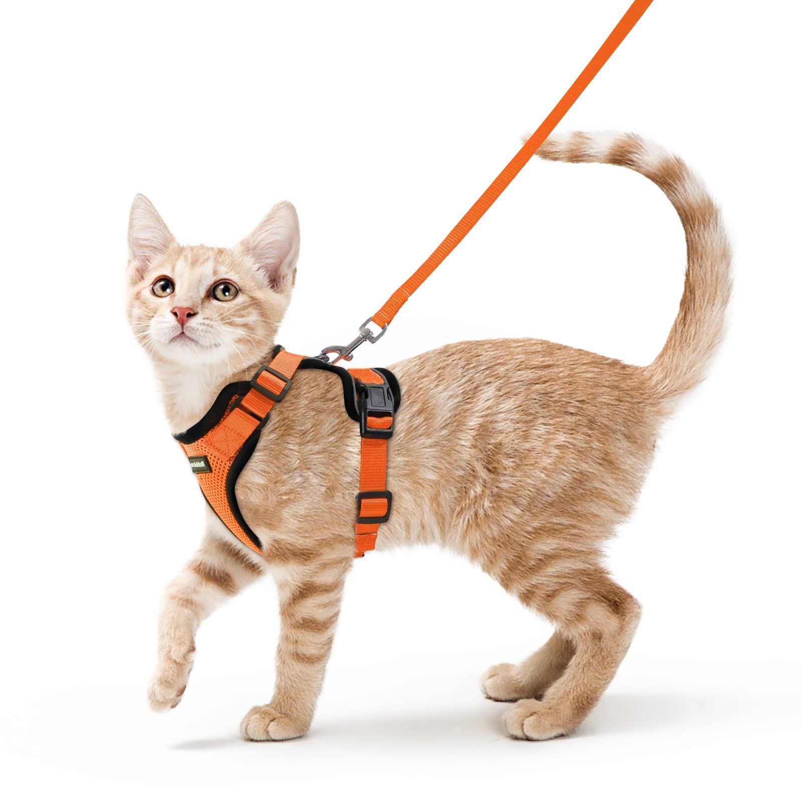 rabbitgoo Cat Harness and Leash Set, Escape Proof Vest, Orange