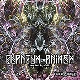 roller hexagon 150  Rock\' and Roll Dole