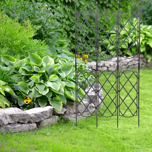 Support pour plantes grimpantes extérieur en acier noir robuste - 7