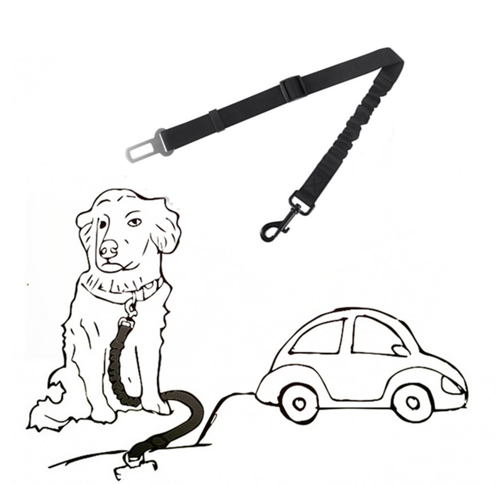 Hunde Sicherheitsgurt Auto - Ruckdämpfer Für Entspannte Fahrten